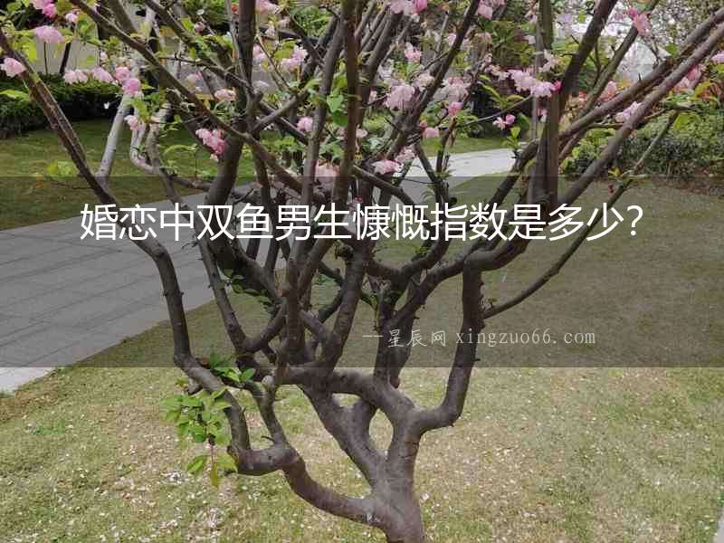 婚戀中雙魚男生慷慨指數是多少？