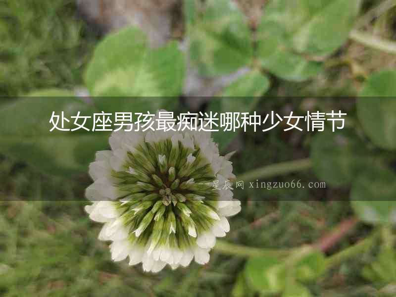 處女座男孩最癡迷哪種少女情節(jié)