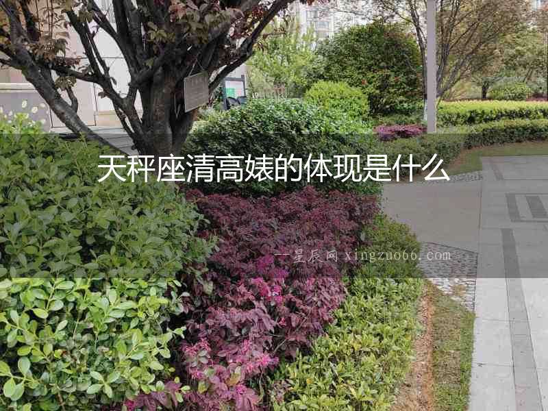 天秤座清高婊的體現是什么