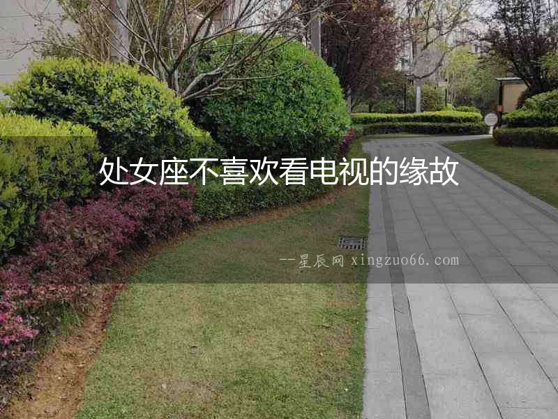 處女座不喜歡看電視的緣故