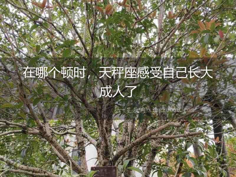 在哪個(gè)頓時(shí)，天秤座感受自己長大成人了