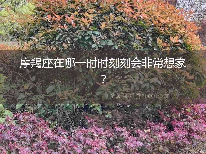 摩羯座在哪一時時刻刻會非常想家？
