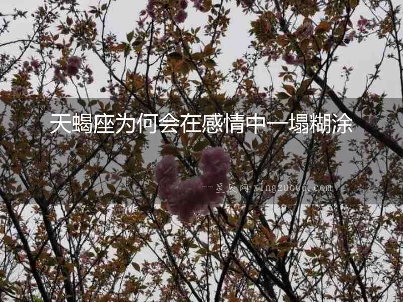 天蝎座為何會(huì)在感情中一塌糊涂
