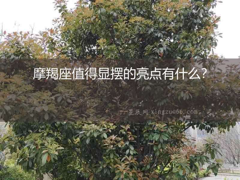 摩羯座值得顯擺的亮點有什么？