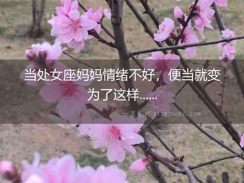 當處女座媽媽情緒不好，便當就變為了這樣......