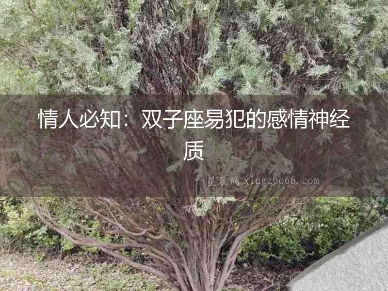 情人必知：雙子座易犯的感情神經(jīng)質(zhì)