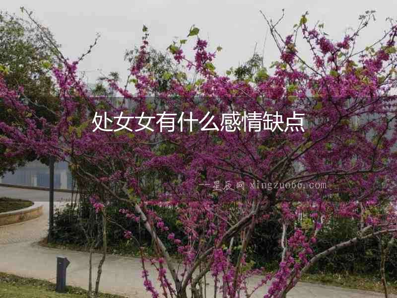 處女女有什么感情缺點