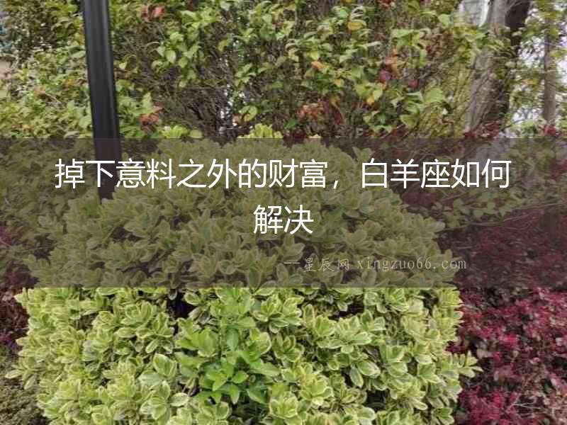 掉下意料之外的財富，白羊座如何解決