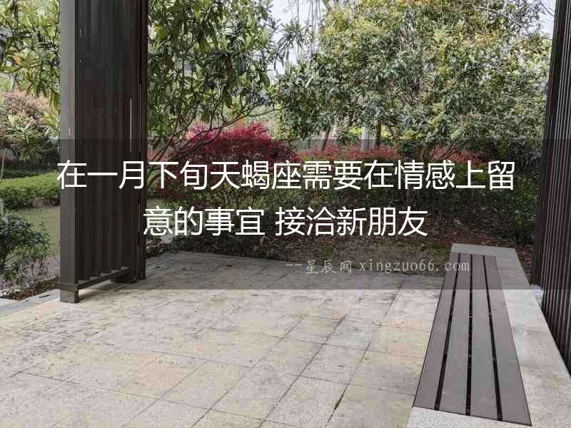 在一月下旬天蝎座需要在情感上留意的事宜 接洽新朋友