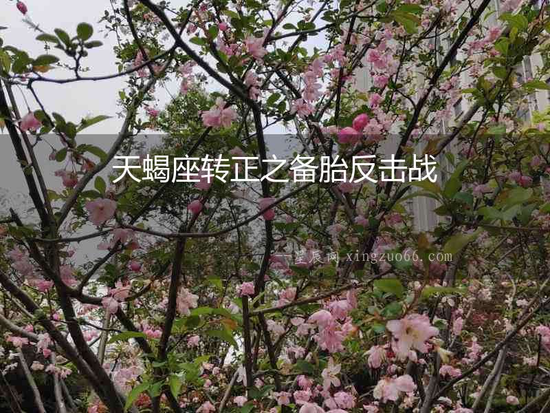 天蝎座轉(zhuǎn)正之備胎反擊戰(zhàn)