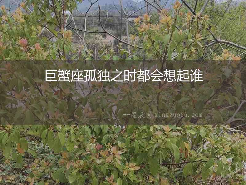 巨蟹座孤獨(dú)之時(shí)都會想起誰