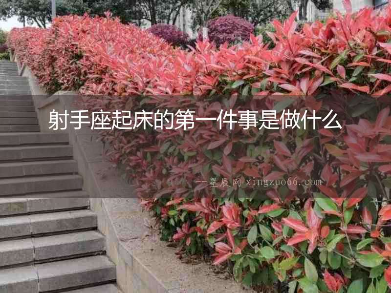 射手座起床的第一件事是做什么