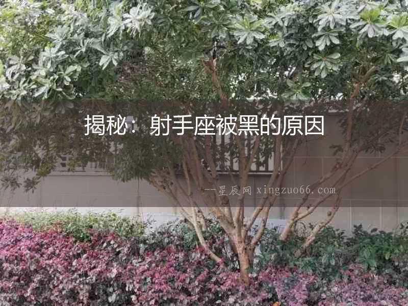 揭秘：射手座被黑的原因
