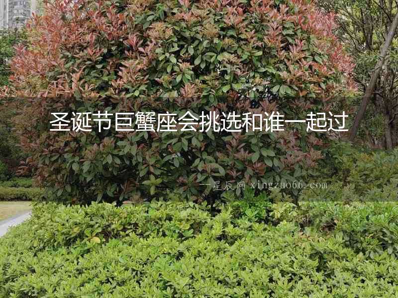 圣誕節(jié)巨蟹座會(huì)挑選和誰(shuí)一起過(guò)