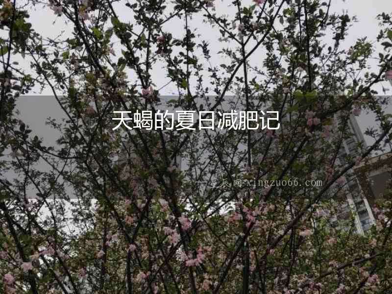 天蝎的夏日減肥記