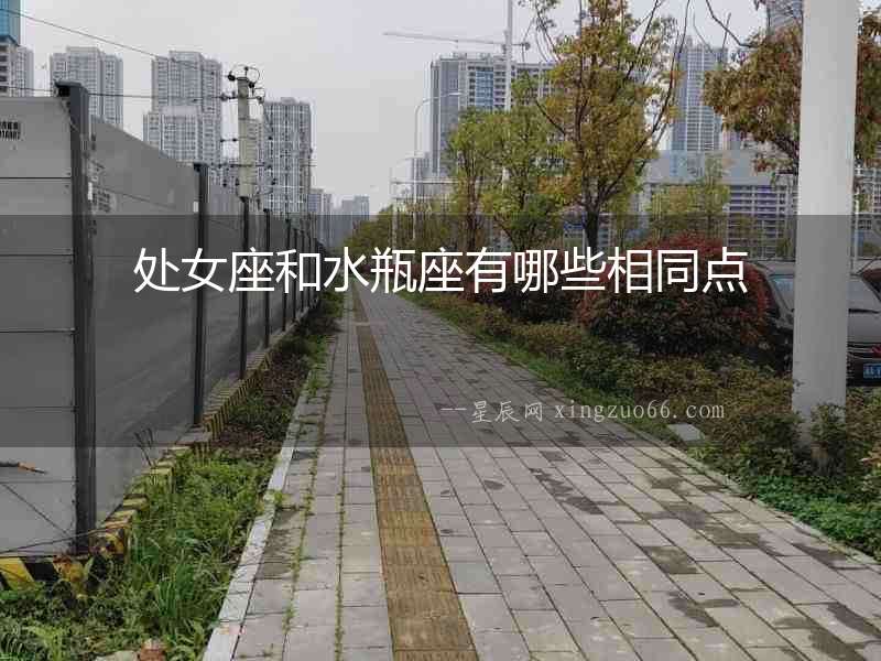 處女座和水瓶座有哪些相同點