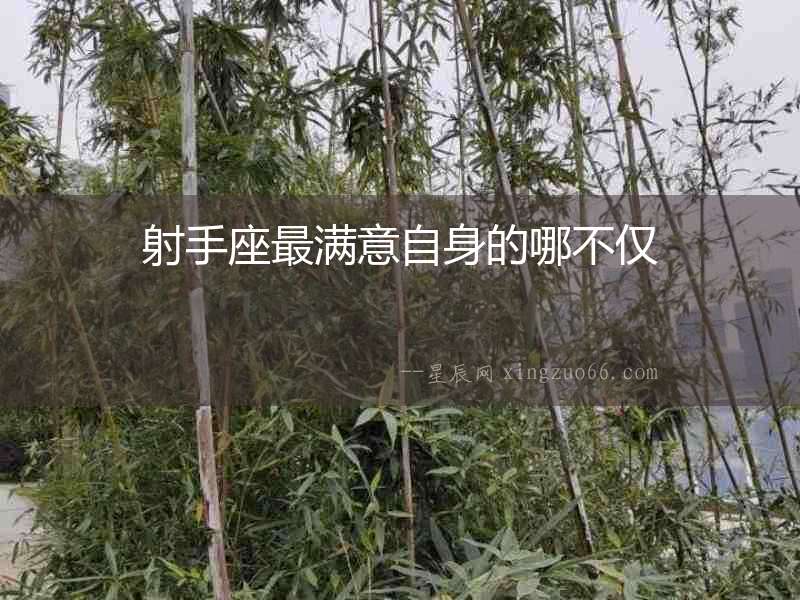 射手座最滿意自身的哪不僅