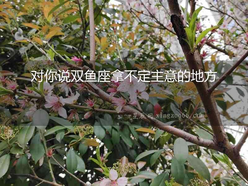 對你說雙魚座拿不定主意的地方
