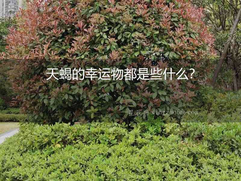 天蝎的幸運(yùn)物都是些什么？