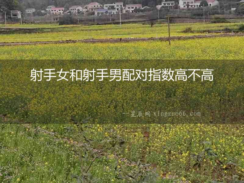 射手女和射手男配對(duì)指數(shù)高不高