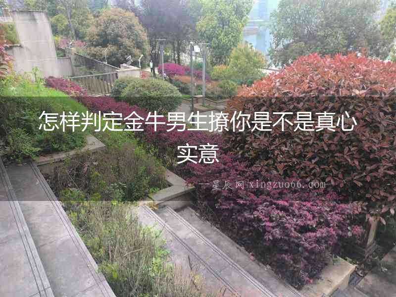 怎樣判定金牛男生撩你是不是真心實意