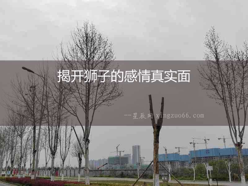 揭開獅子的感情真實面