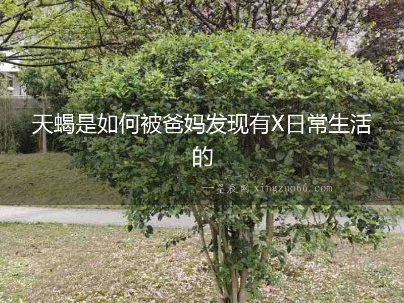 天蝎是如何被爸媽發現有X日常生活的