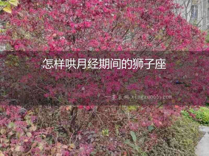 怎樣哄月經期間的獅子座