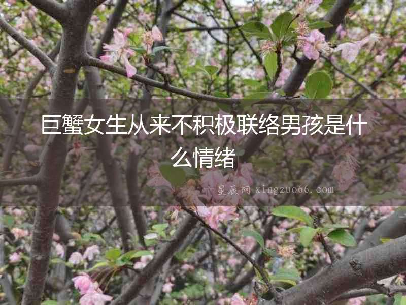 巨蟹女生從來不積極聯絡男孩是什么情緒