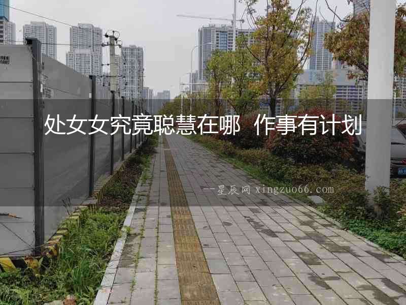 處女女究竟聰慧在哪  作事有計劃