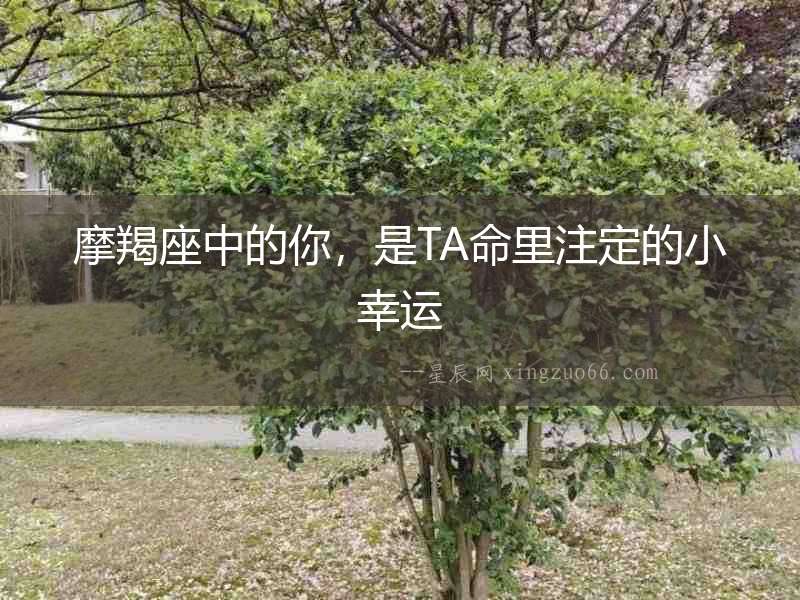 摩羯座中的你，是TA命里注定的小幸運(yùn)