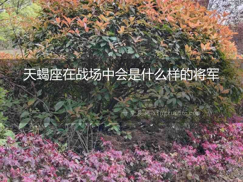 天蝎座在戰(zhàn)場(chǎng)中會(huì)是什么樣的將軍