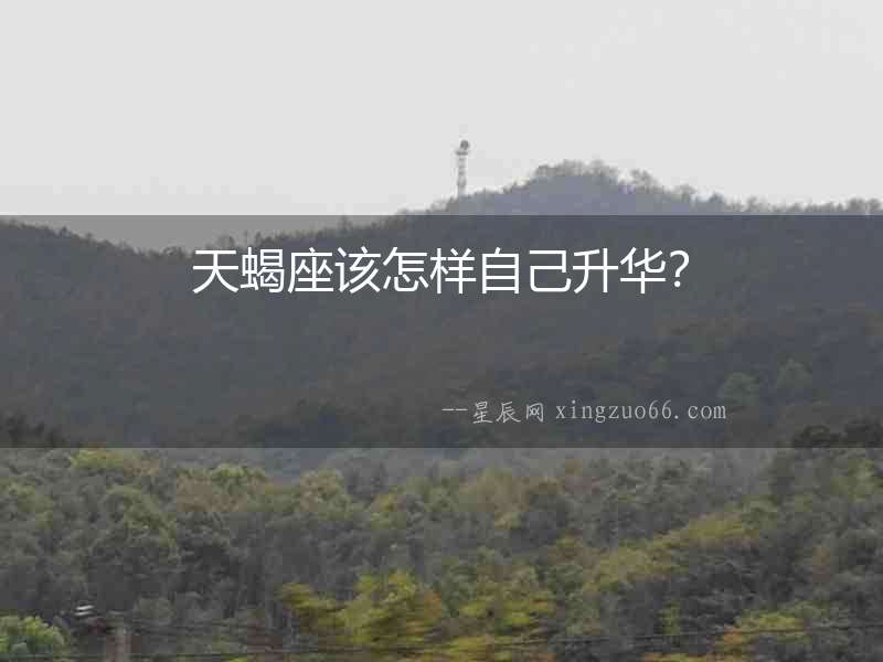 天蝎座該怎樣自己升華？