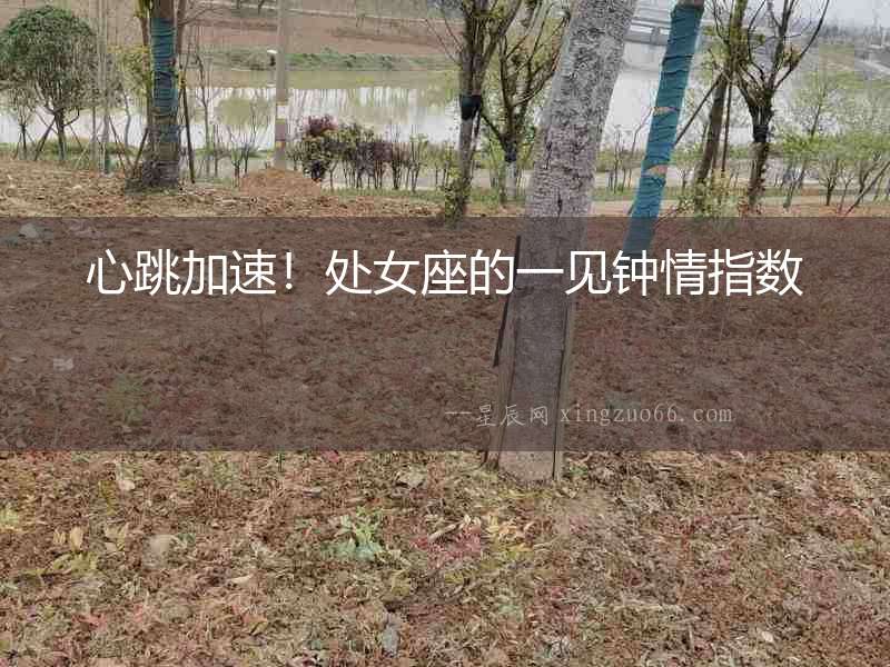 心跳加速！處女座的一見鐘情指數