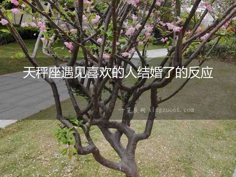 天秤座遇見喜歡的人結婚了的反應