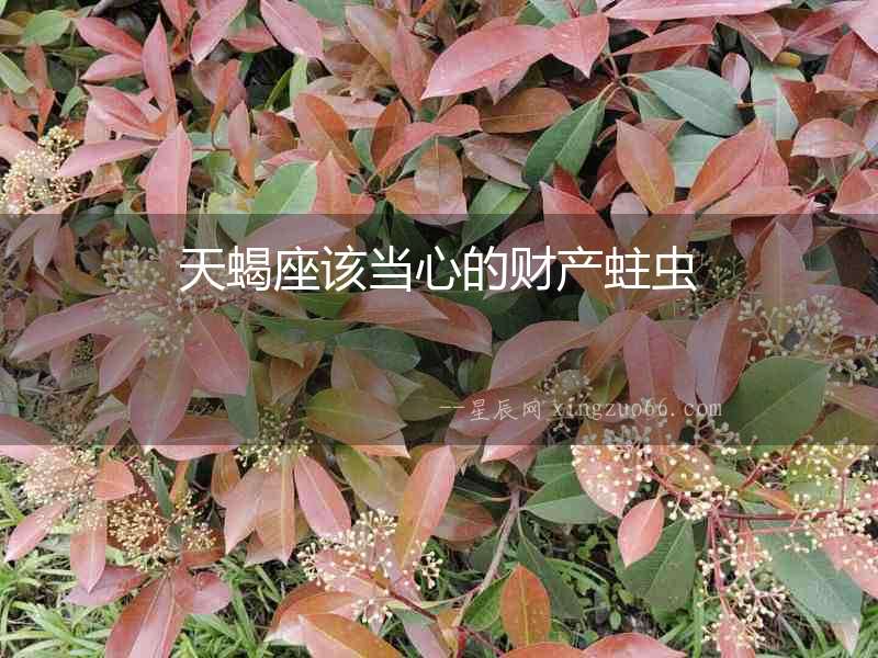 天蝎座該當心的財產蛀蟲