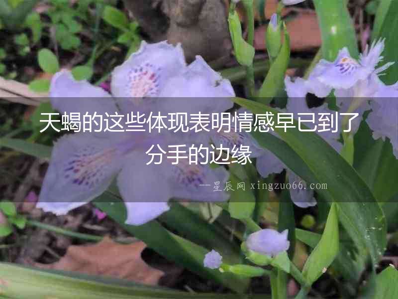 天蝎的這些體現(xiàn)表明情感早已到了分手的邊緣