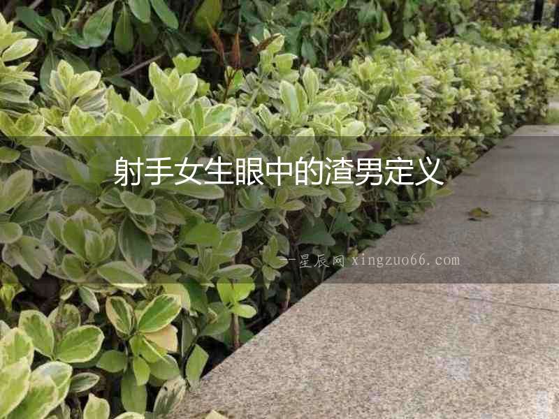 射手女生眼中的渣男定義