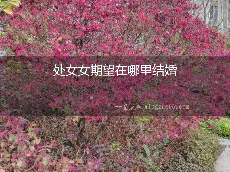 處女女期望在哪里結婚