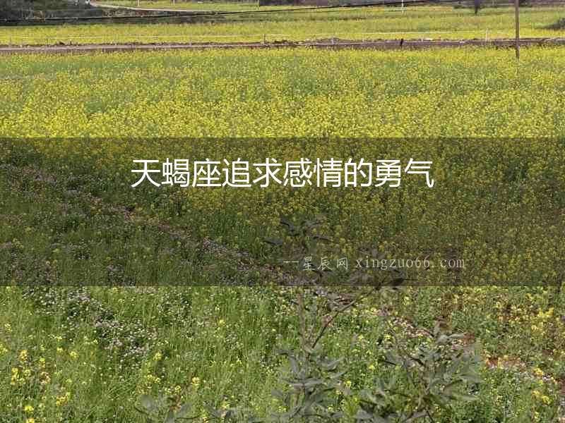 天蝎座追求感情的勇氣