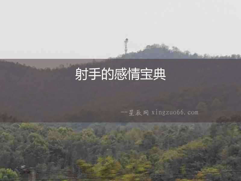 射手的感情寶典