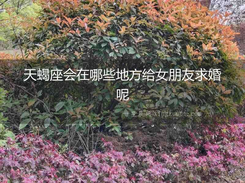 天蝎座會在哪些地方給女朋友求婚呢