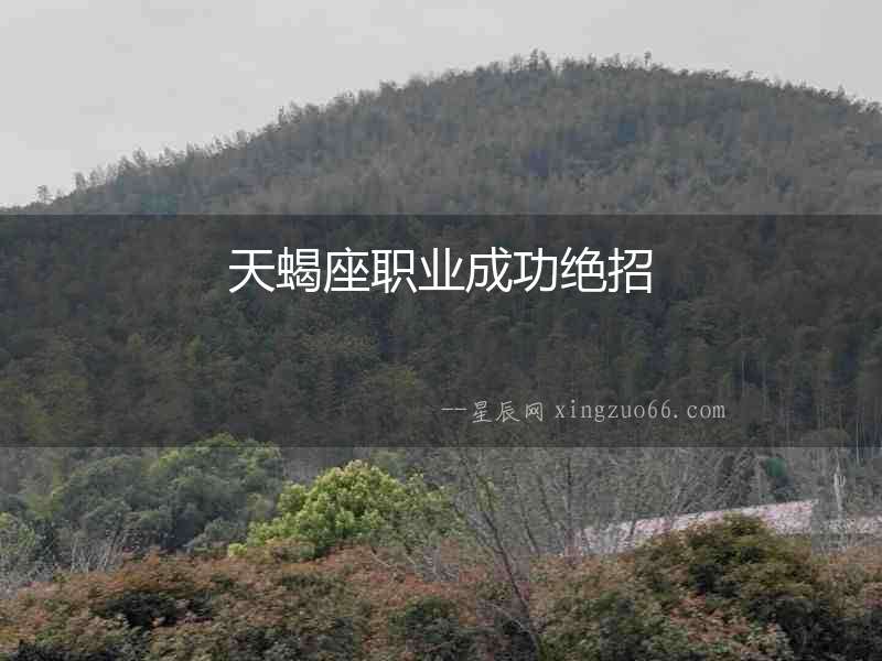 天蝎座職業成功絕招