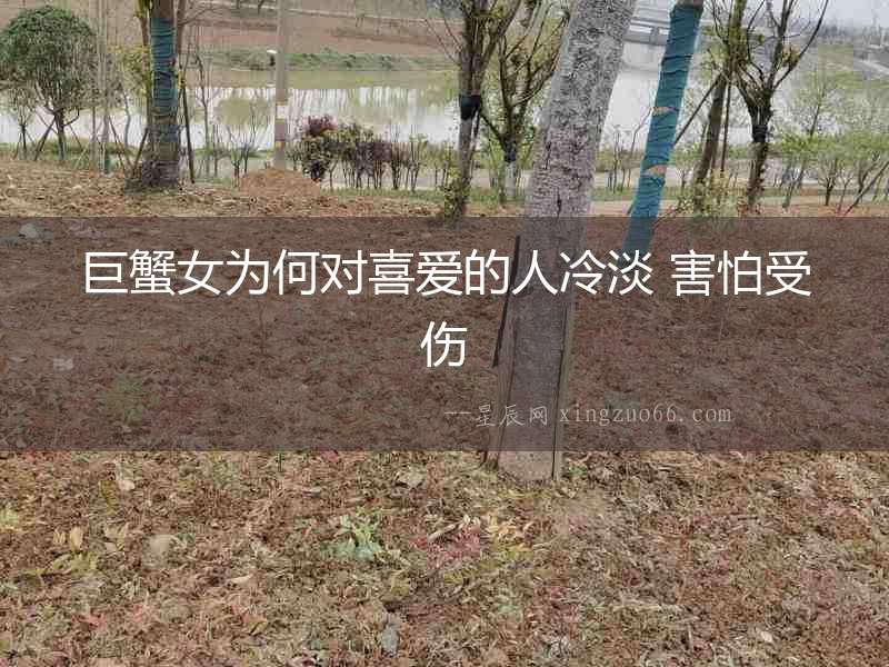 巨蟹女為何對喜愛的人冷淡 害怕受傷