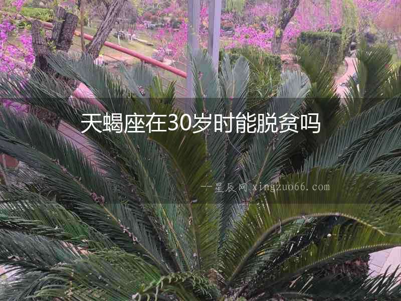 天蝎座在30歲時(shí)能脫貧嗎