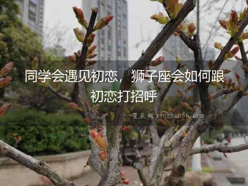 同學會遇見初戀，獅子座會如何跟初戀打招呼