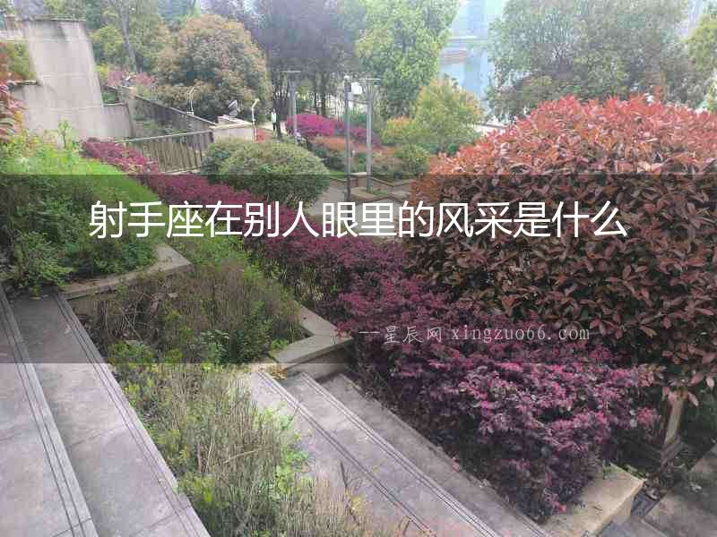 射手座在別人眼里的風(fēng)采是什么