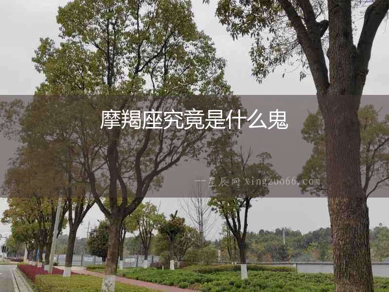 摩羯座究竟是什么鬼