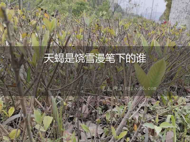 天蝎是饒雪漫筆下的誰(shuí)