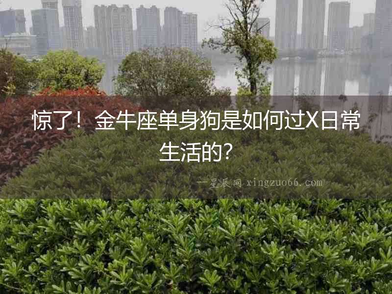 驚了！金牛座單身狗是如何過X日常生活的？